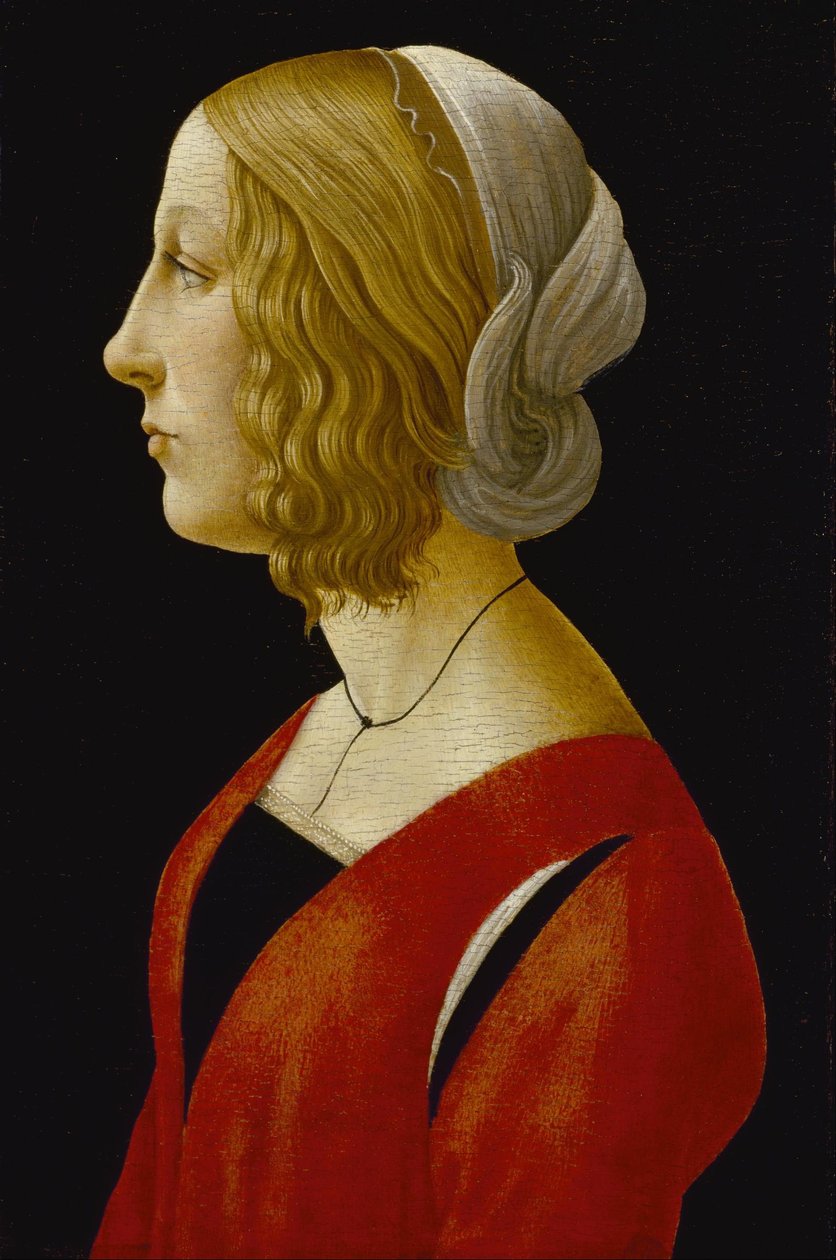 Nuoren naisen muotokuva - Bust of a Young Woman (Nuoren naisen rintakuva) tekijältä Raffaellino del Garbo