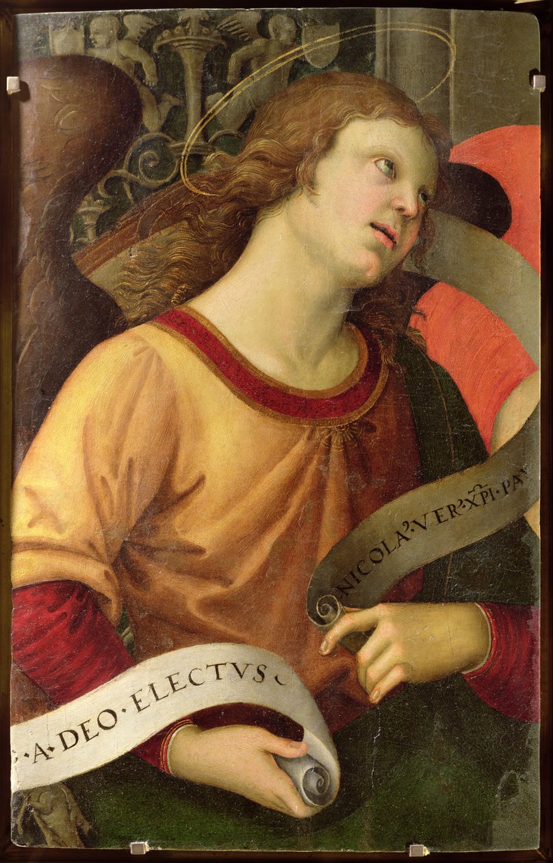Angel, Pyhän Nikolauksen Tolentinon polyptyykistä, 1501 tekijältä Raffaello Sanzio Raphael