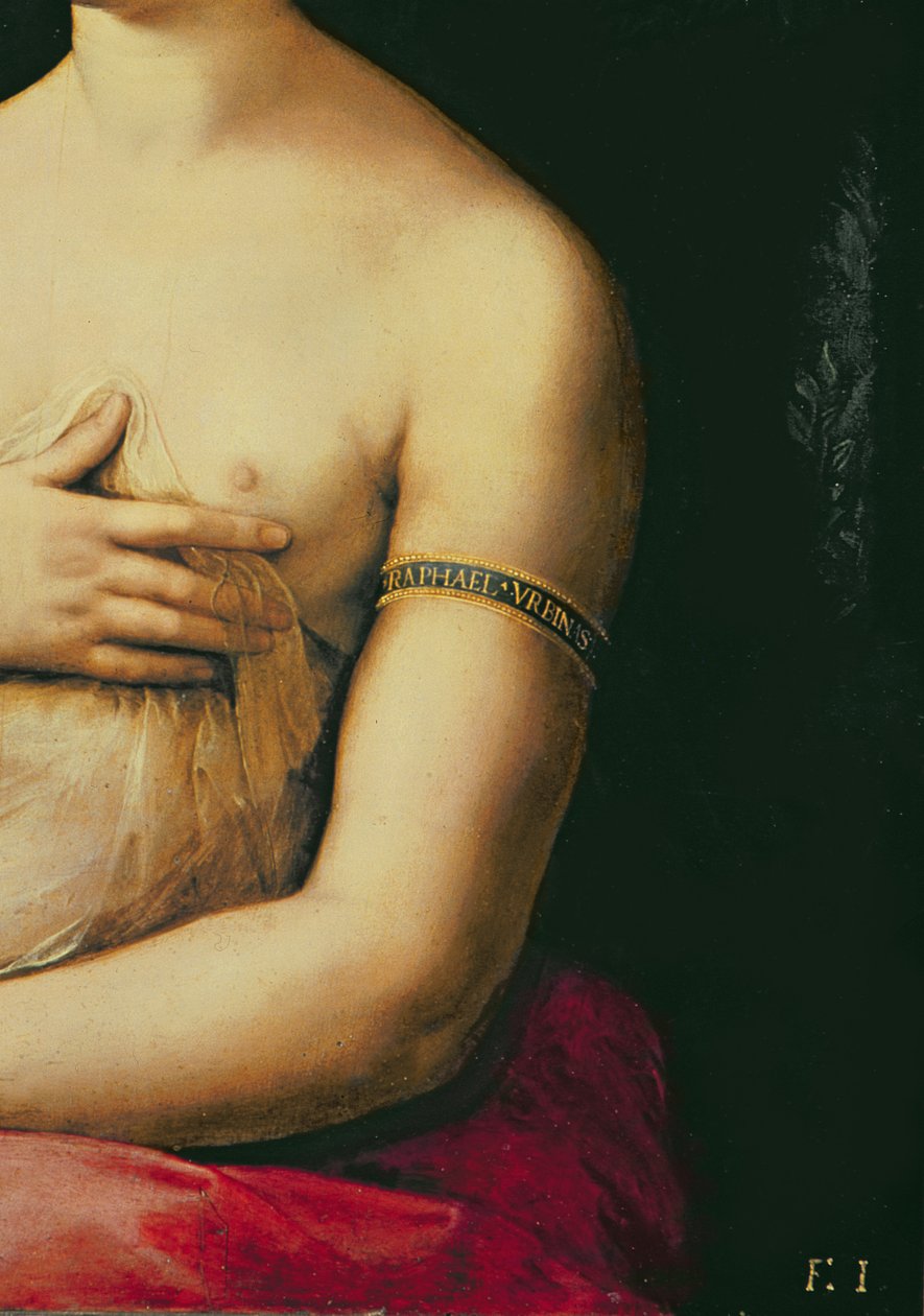 La Fornarina, n. 1516 (paneeli) (68213:n yksityiskohta) tekijältä Raffaello Sanzio Raphael