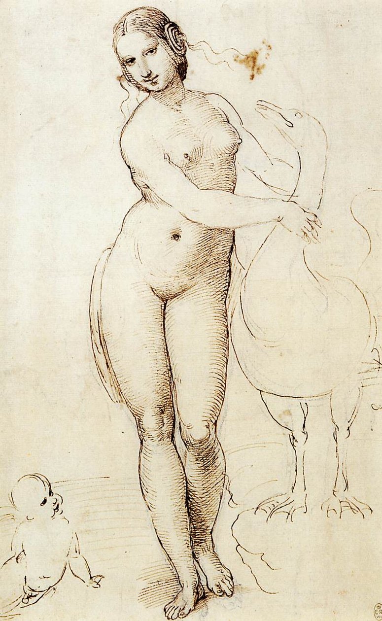 Leda ja joutsen tekijältä Raffaello Sanzio Raphael