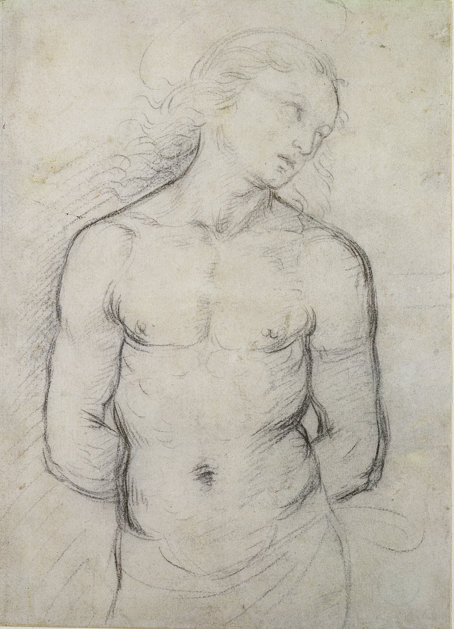 Saint Sebastian, 1499-1500 (musta liitu valkoisella paperilla) tekijältä Raffaello Sanzio Raphael