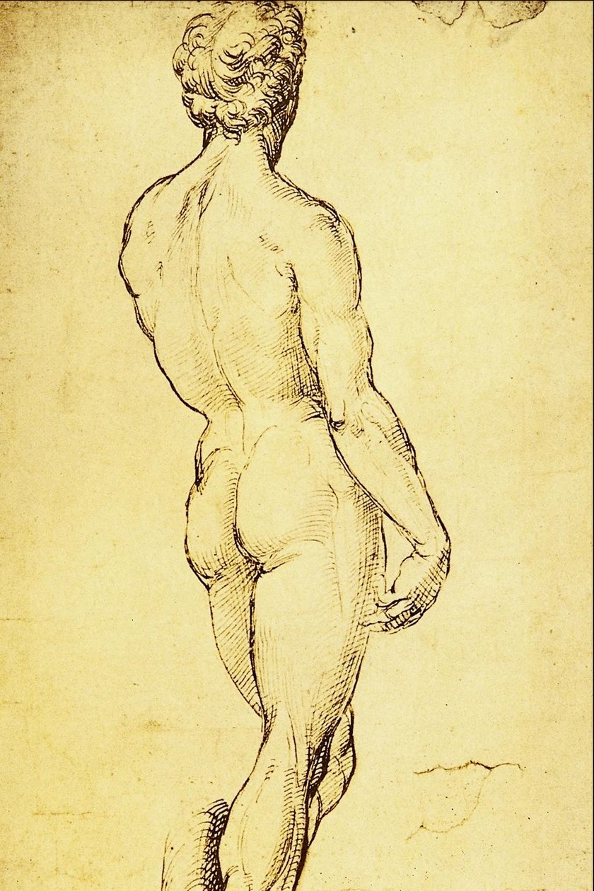 Studio di Nudo tekijältä Raffaello Sanzio Raphael