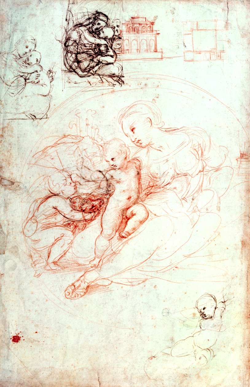 Tutkimus Alba Madonnasta, n. 1508-09 tekijältä Raffaello Sanzio Raphael