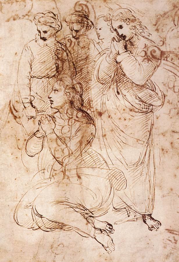 Suruhahmojen tutkimus tekijältä Raffaello Sanzio Raphael
