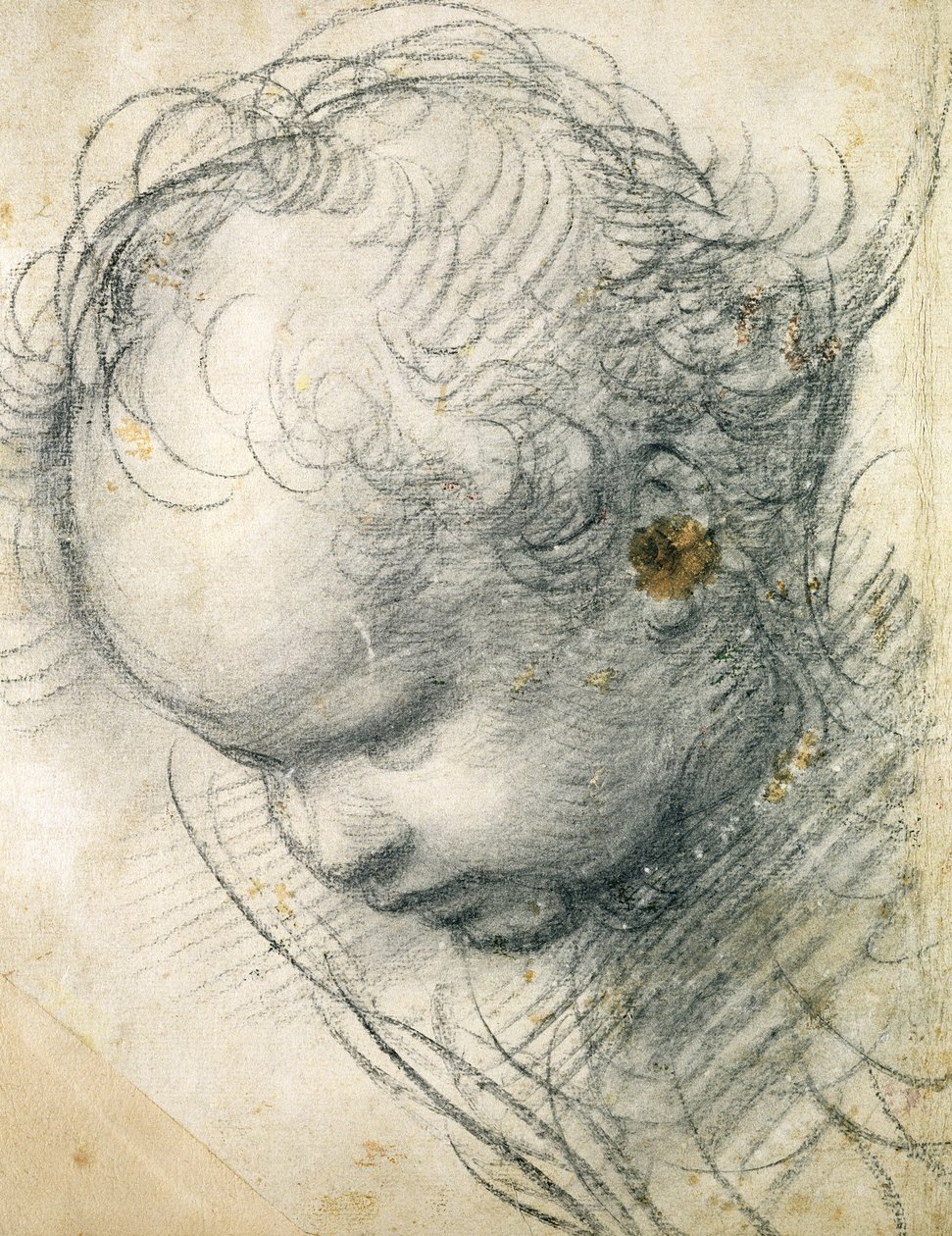 Kerubin pää (musta liitu ja puuhiili paperilla) tekijältä Raffaello Sanzio Raphael
