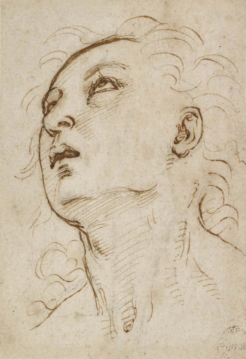 Nuoren miehen pää, joka katsoo ylöspäin, n. 1497-1504 (kynä ja ruskea muste metallisella kärjellä kermanväriselle paperille). tekijältä Raffaello Sanzio Raphael