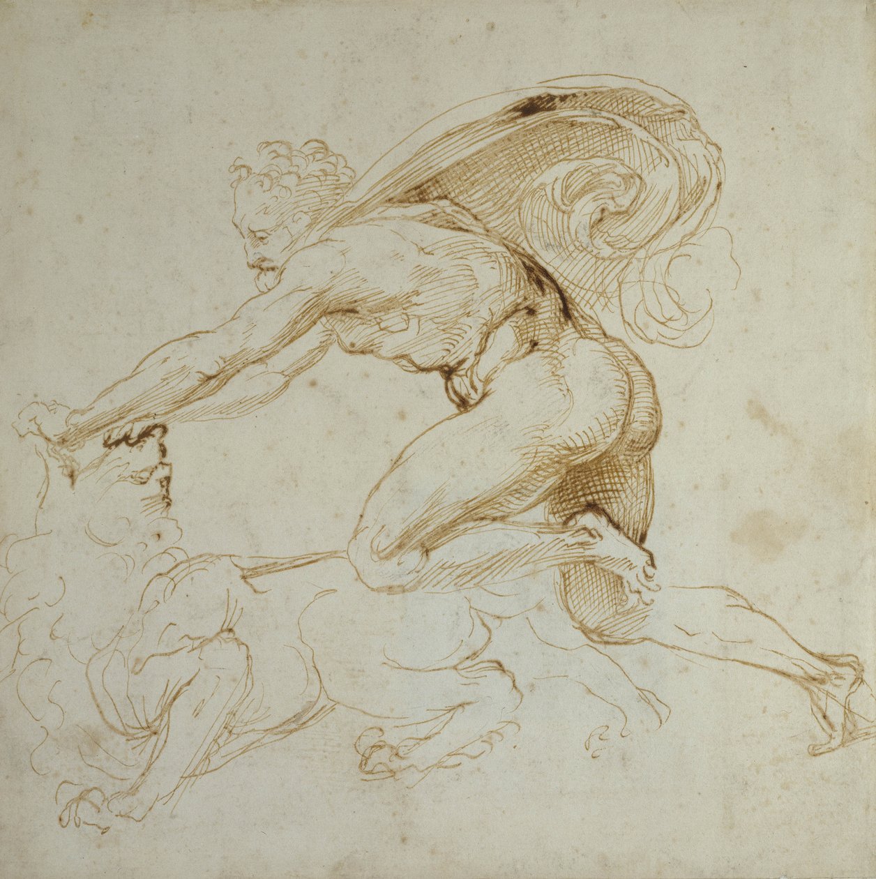 Hercules voitti leijonan (kynä ja ruskea muste valkoisella paperilla) tekijältä Raffaello Sanzio Raphael