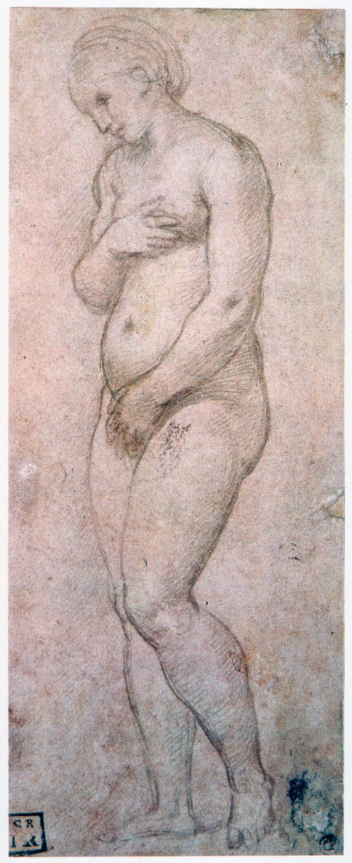 Venuksen tutkimus, 1500-1520 tekijältä Raffaello Sanzio Raphael