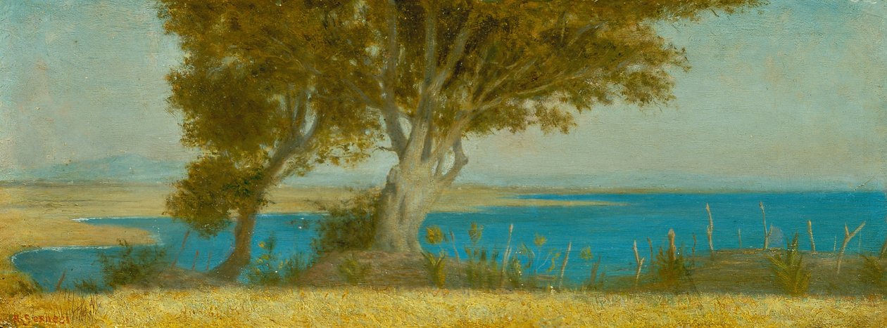 Marina di Castiglioncello tekijältä Raffaello Sernesi