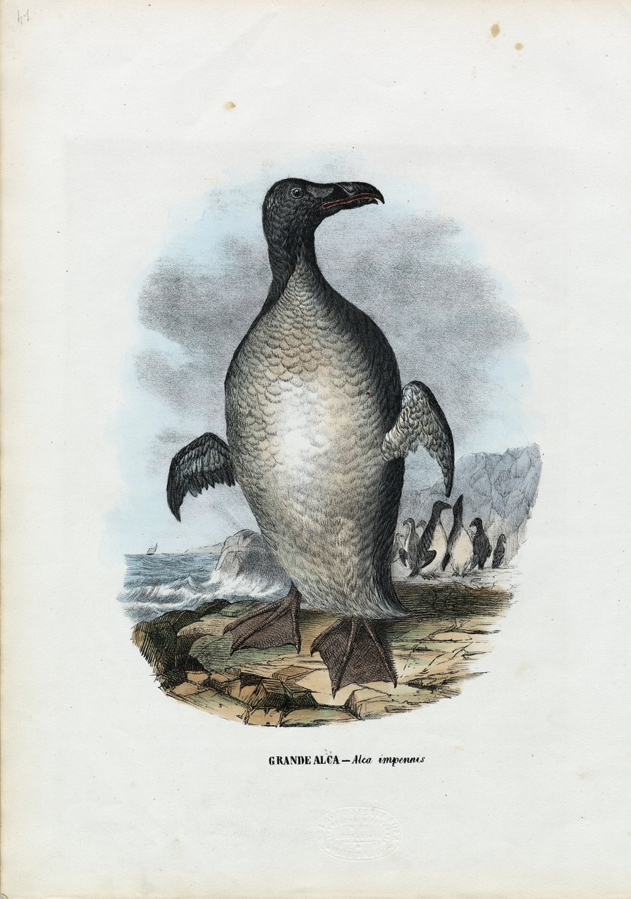 Suuri aukko, 1863-79 tekijältä Raimundo Petraroja
