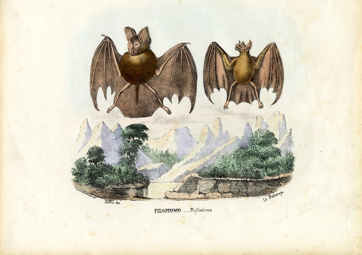 Lehtilepakot, 1863-79 tekijältä Raimundo Petraroja