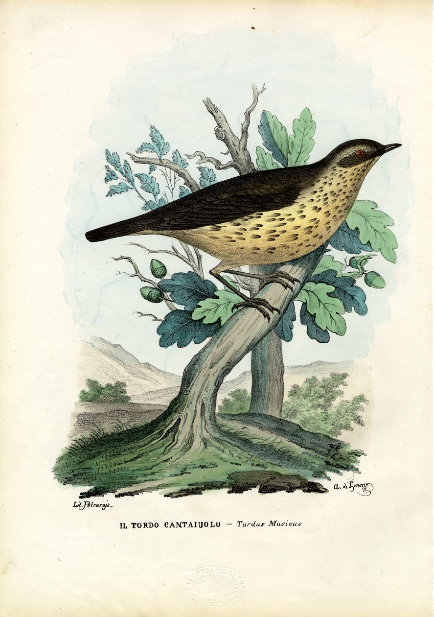 Laulurastas, 1863-79 tekijältä Raimundo Petraroja