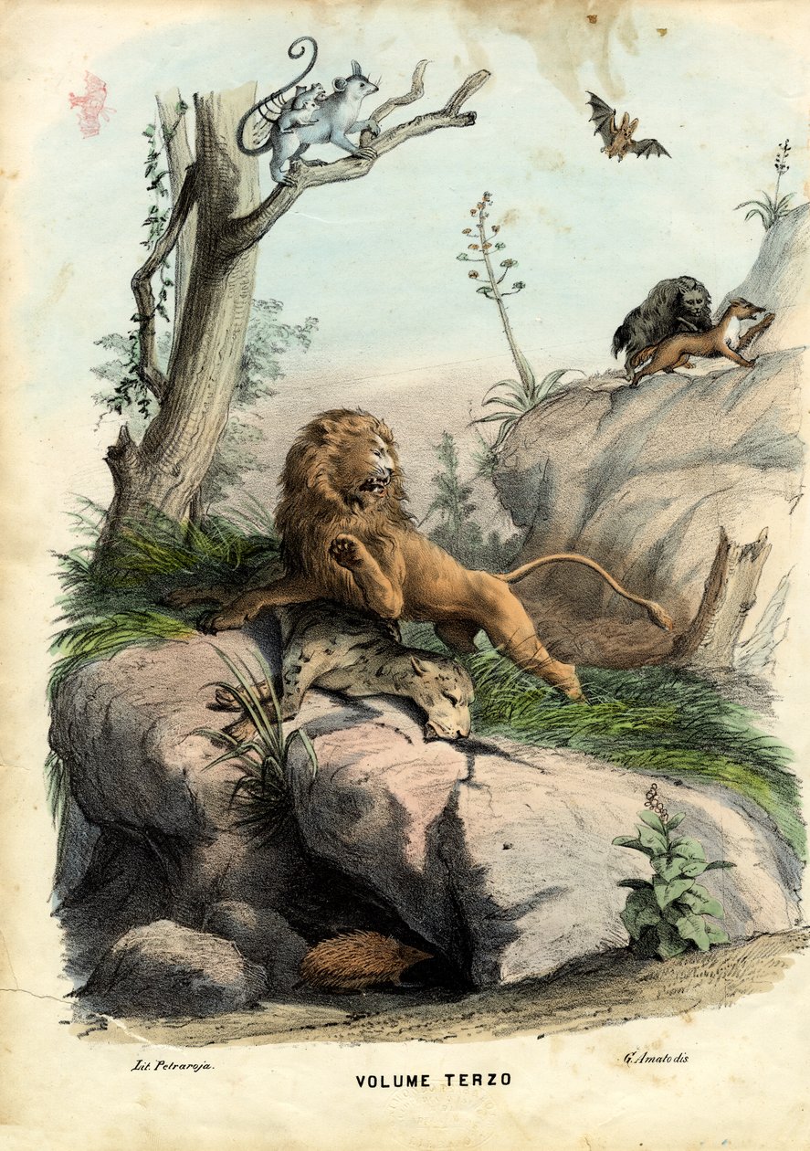 Otsikko, 1863-79 tekijältä Raimundo Petraroja