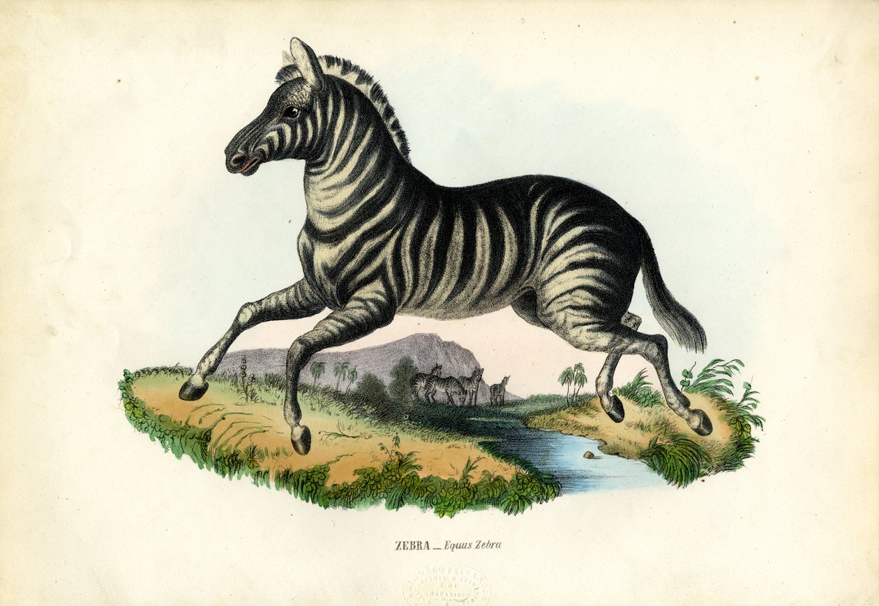 Seepra, 1863-79 tekijältä Raimundo Petraroja