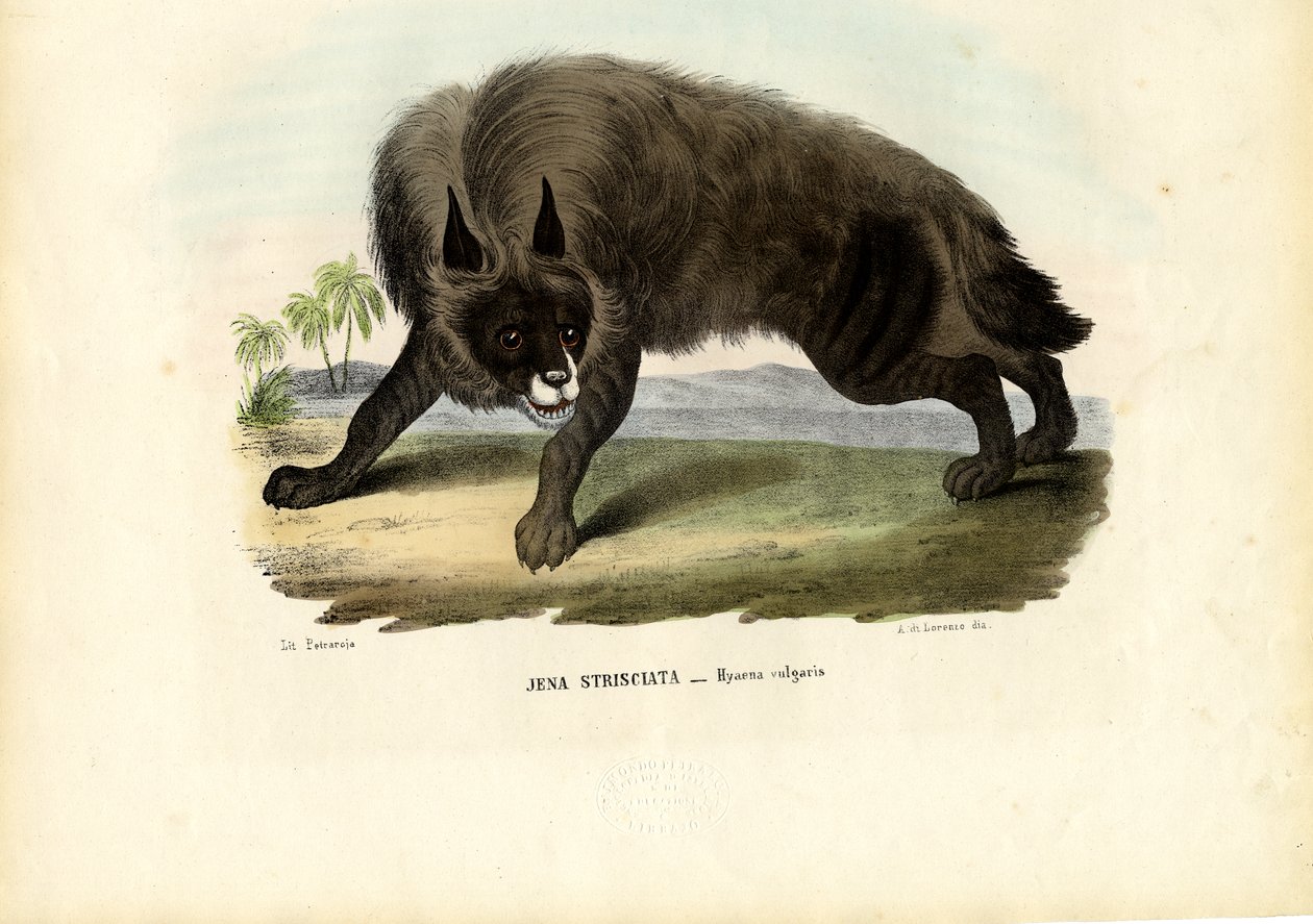 Raidallinen hyena, 1863-79 tekijältä Raimundo Petraroja