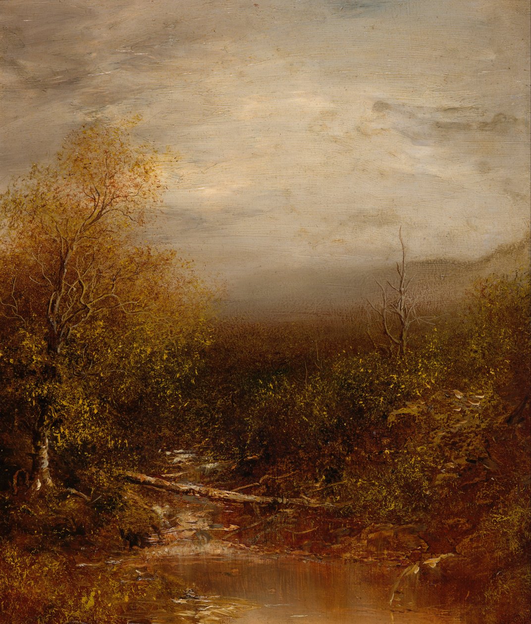 Uima -allas Adirondacksissa tekijältä Ralph Albert Blakelock