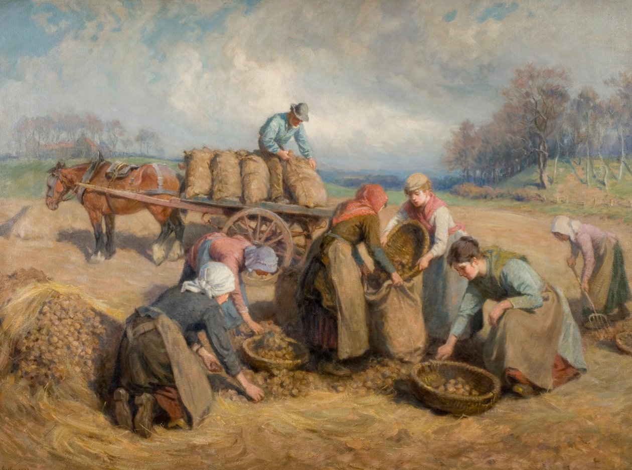 Perunankerääjät, Northumberland, 1903 tekijältä Ralph Hedley
