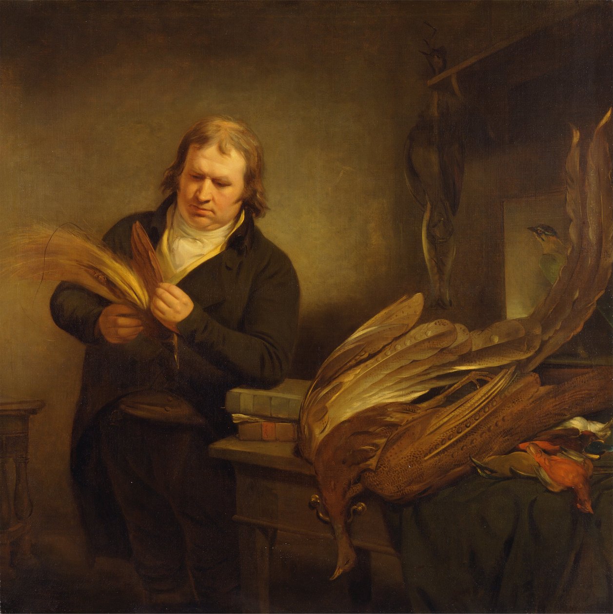 Ornitologi (1802) tekijältä Ramsay Richard Reinagle