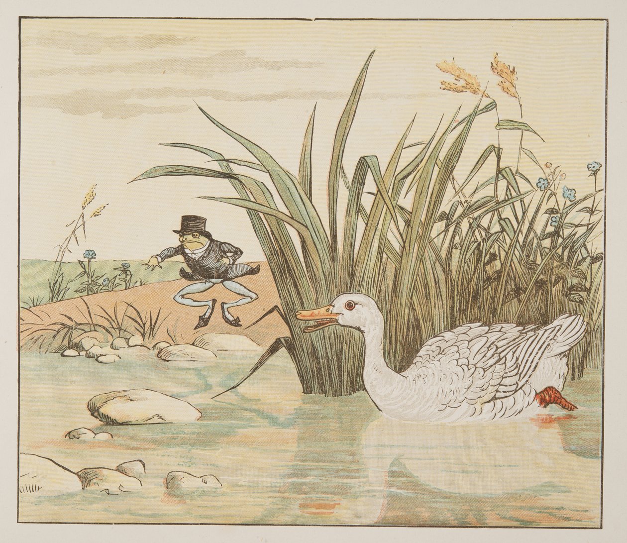 Liljanvalkoinen ankka tuli ja ahmi hänet, The Hey Diddle Diddle Picture Bookista, pub.1882 (värikaiverrus) tekijältä Randolph Caldecott