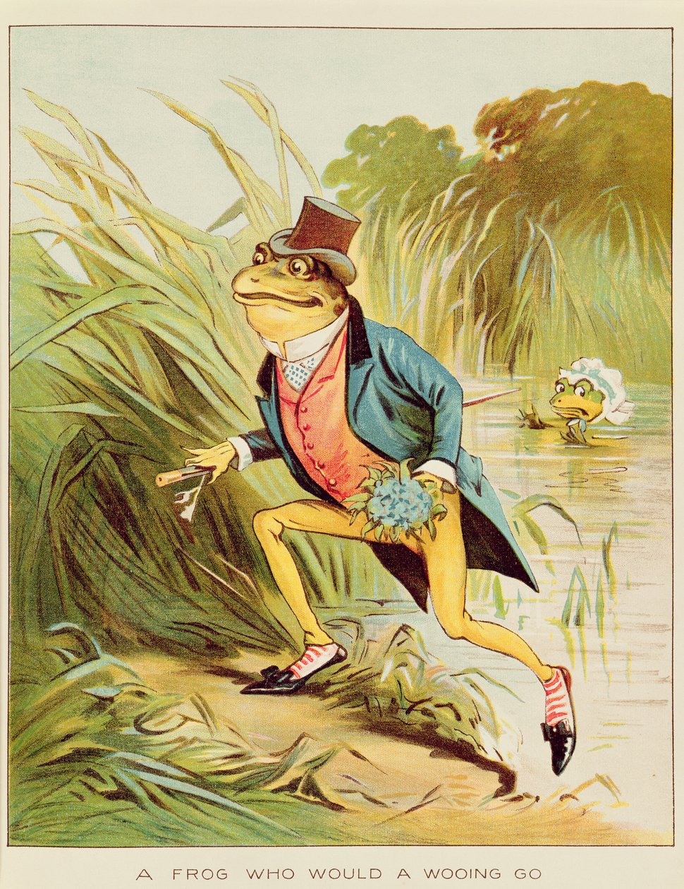Kuvitus teoksesta "A Frog He Will A-wooing Go" tekijältä Randolph Caldecott