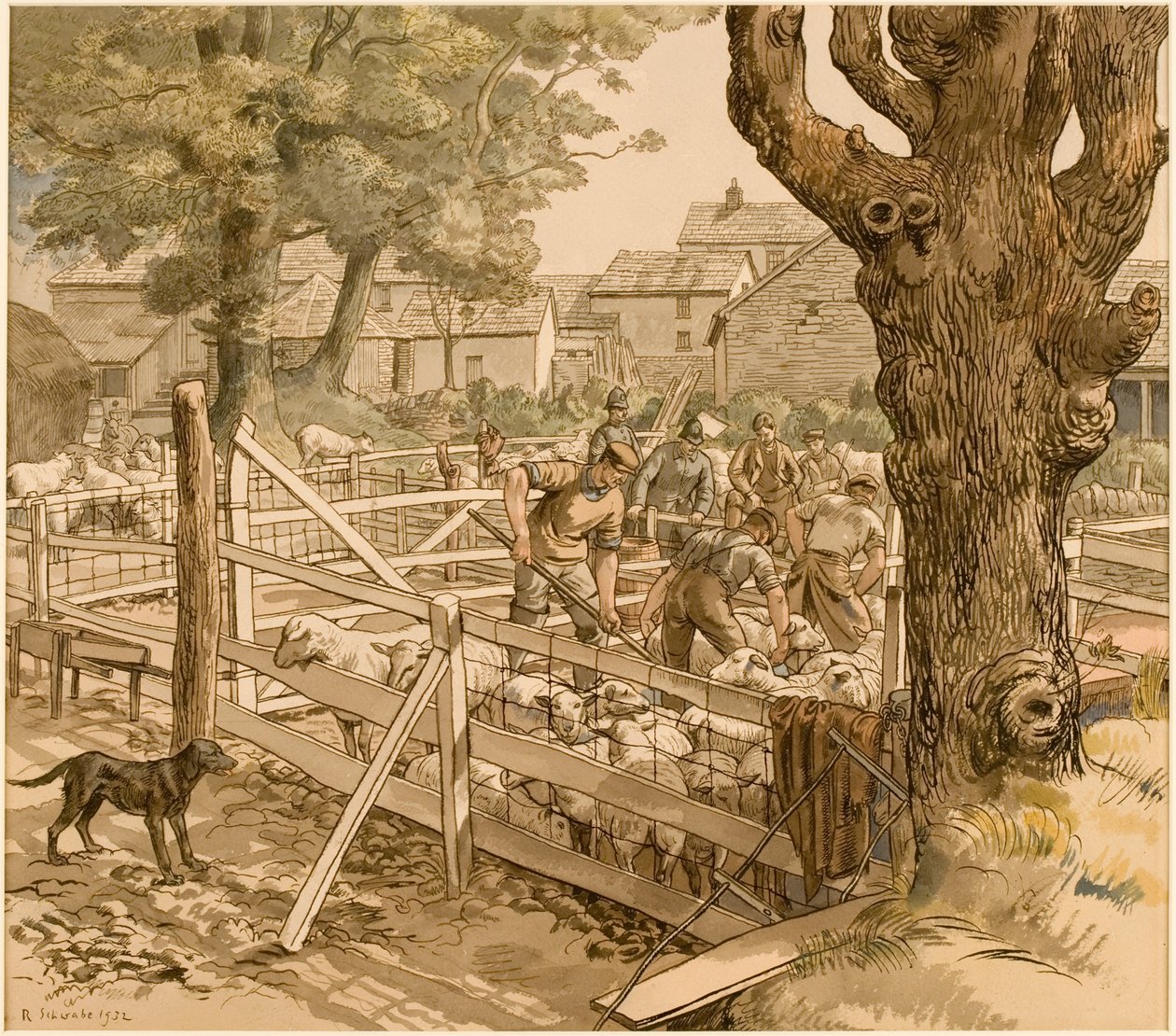 Sheep Dipping, Cornwall tekijältä Randolph Schwabe