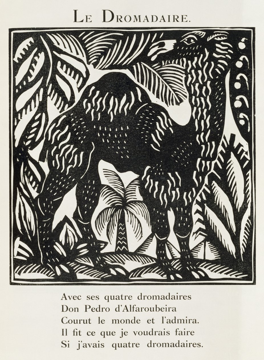 Dromedaari, kuvitus teoksesta 