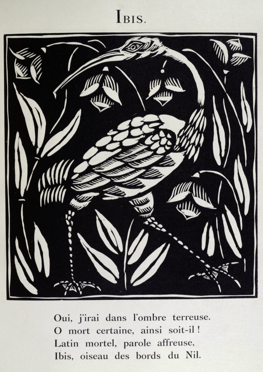 Ibis, kuvitus Guillaume Apollinairen (1880-1918) teoksesta "Bestiarion" tai "Orfeuksen kulkue" 1911 (puupiirros). tekijältä Raoul Dufy
