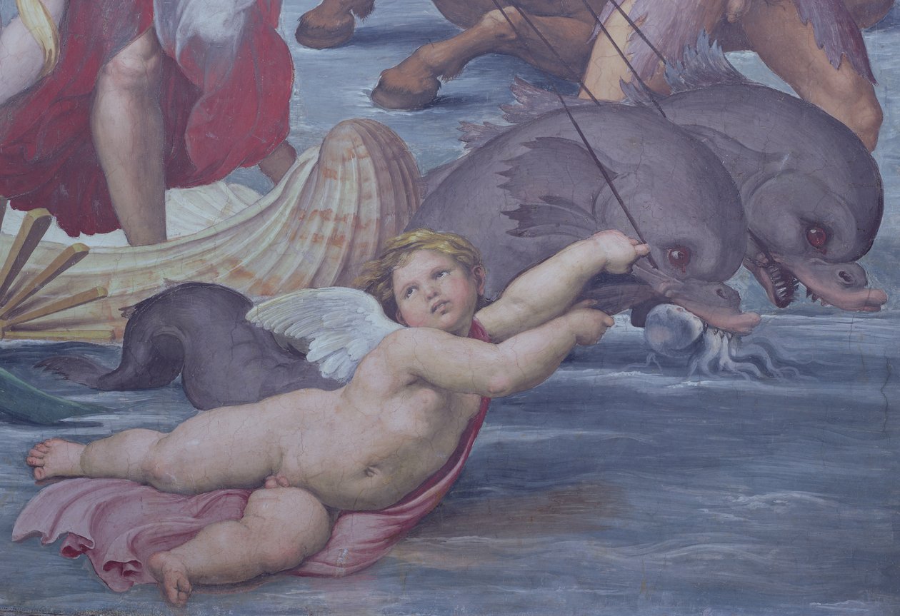 Galatea, yksityiskohta puttosta ja delfiineistä, 1506 fresko yksityiskohta 56473 tekijältä Raffaello Sanzio Raphael