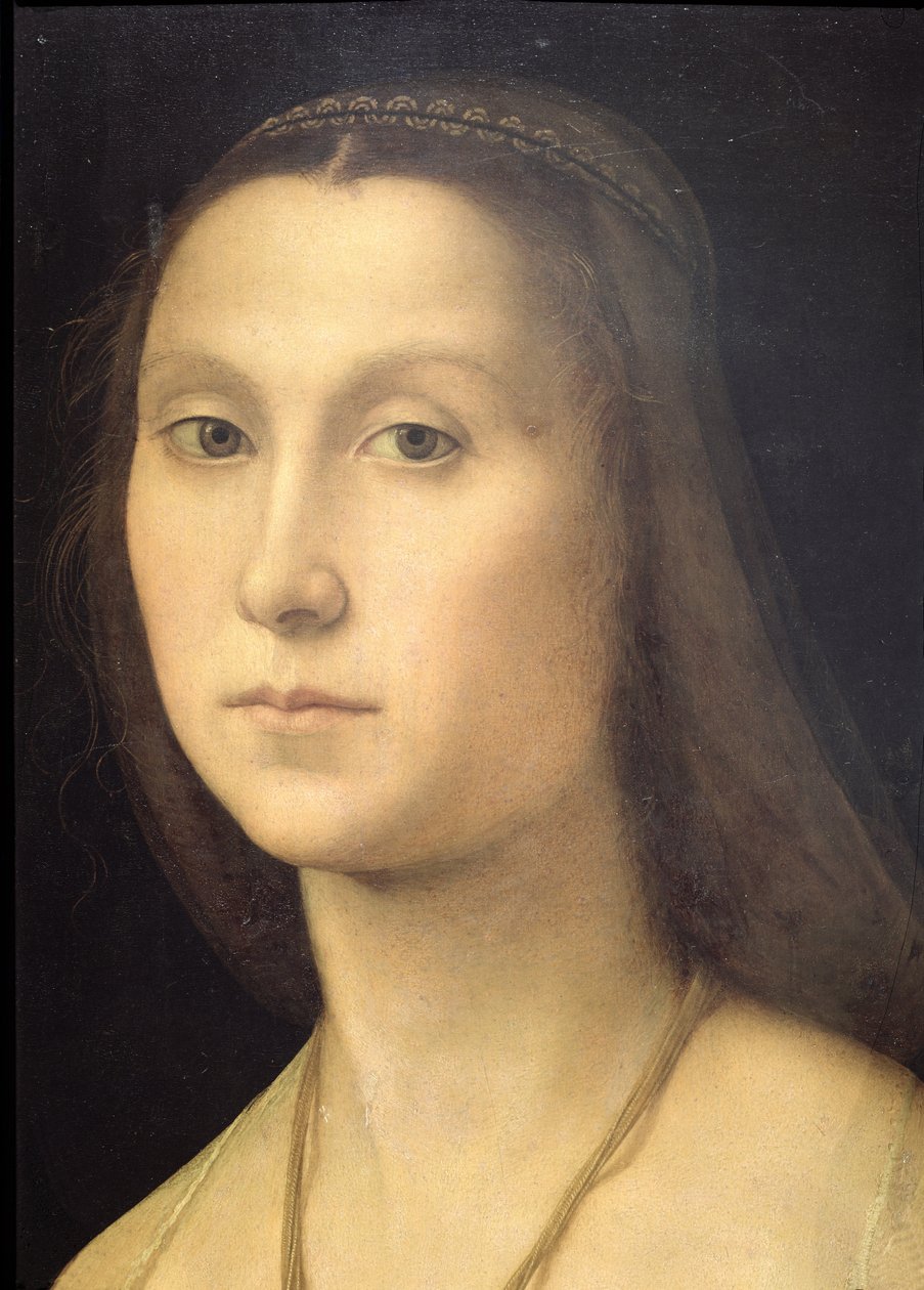 Naisen muotokuva (La Muta), 1507 (yksityiskohta) (katso 21465, 205589) tekijältä Raffaello Sanzio Raphael