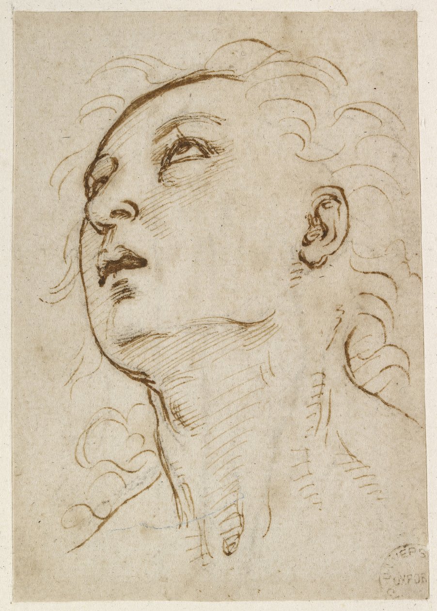 Recto: Nuoren miehen pää, joka katsoo ylöspäin, WA1846.156 tekijältä Raffaello Sanzio Raphael