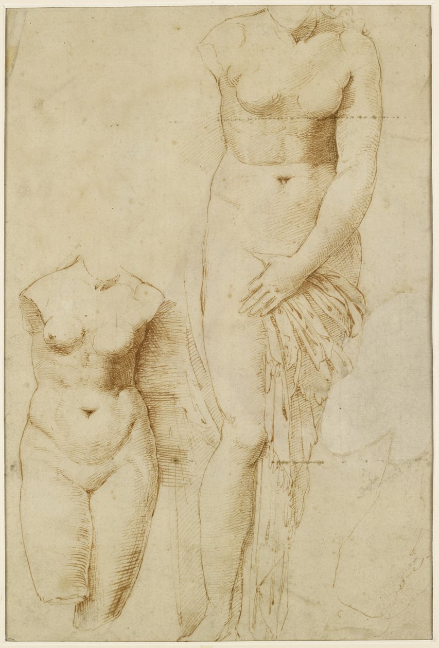 Recto: Kaksi Afroditen hahmoa. Verso: Mieshahmo toiminnassa, WA1846.261 tekijältä Raffaello Sanzio Raphael