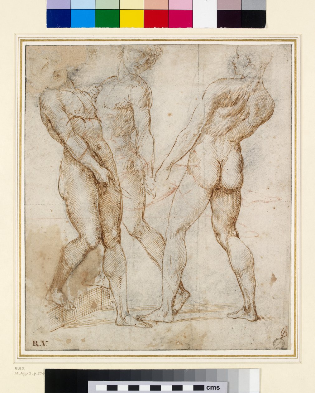The Nude Bearers (Study for the Tombment) (kynä ja muste guassilla paperilla) tekijältä Raffaello Sanzio Raphael