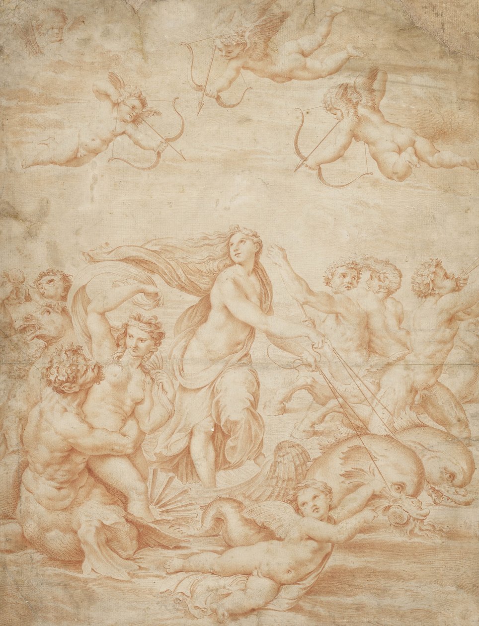 Galatean voitto (punainen liitu vaalean kiiltävällä paperilla) tekijältä Raffaello Sanzio Raphael