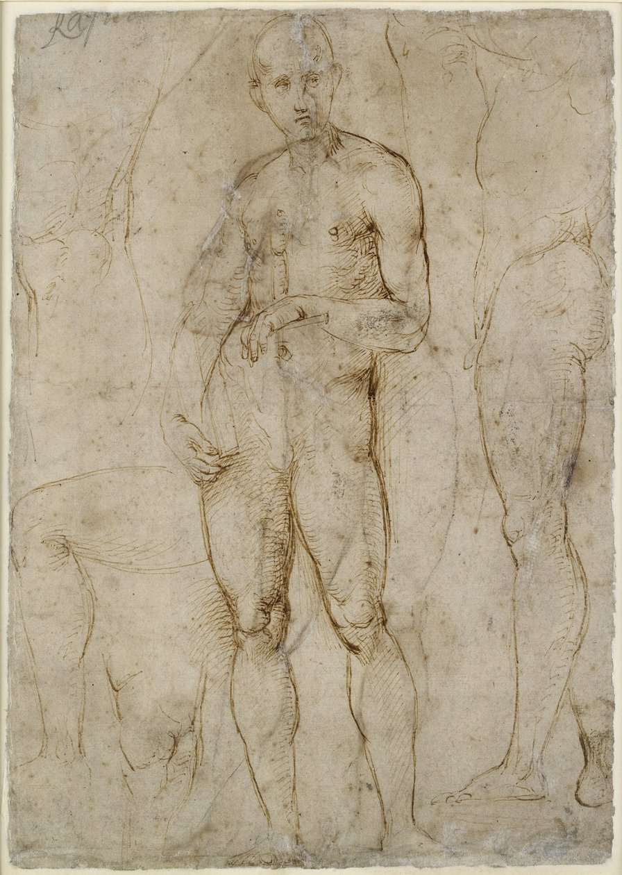 Verso: Alastontutkimus St Paulille, WA1846.163 tekijältä Raffaello Sanzio Raphael
