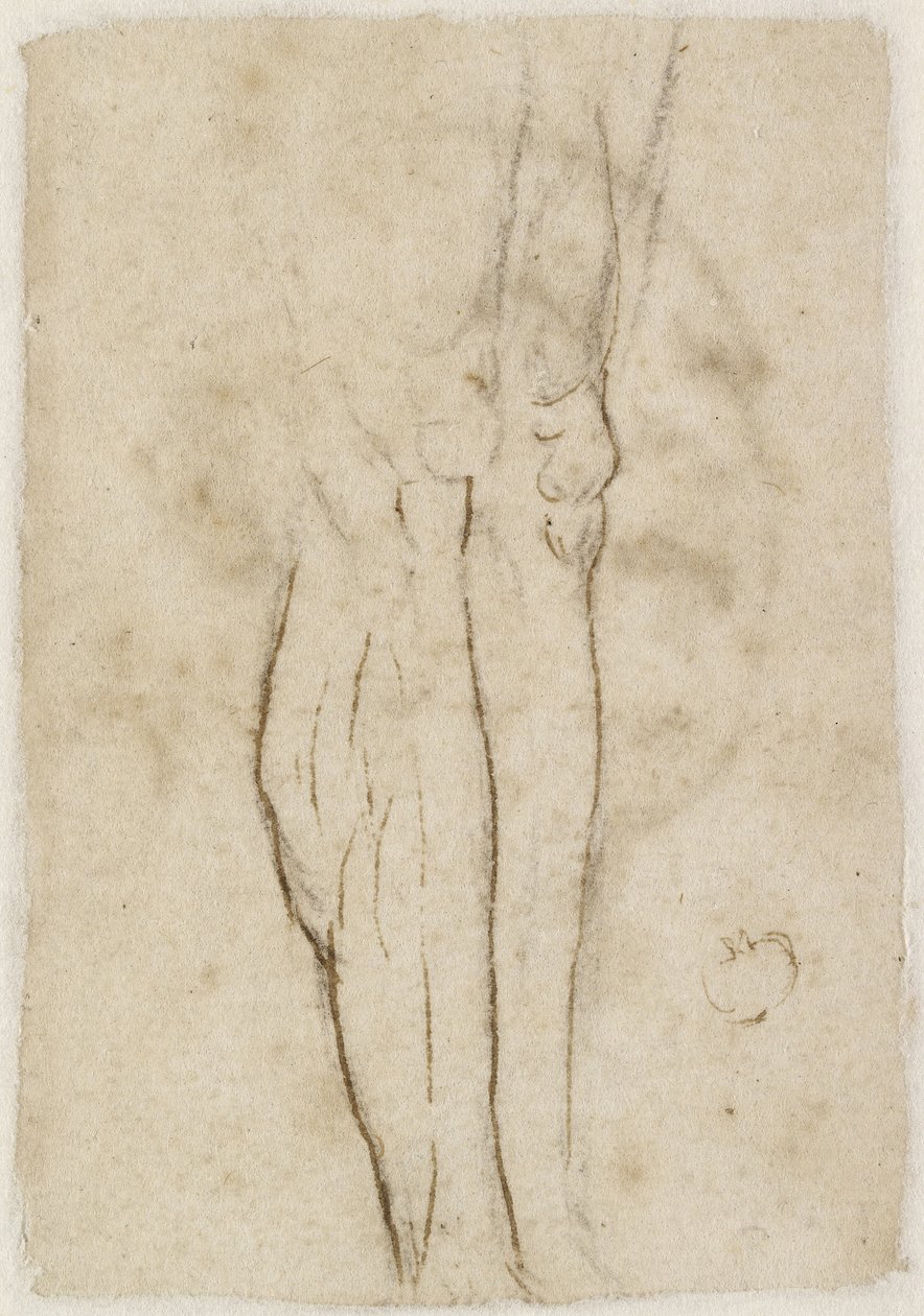 Verso: Luonnos jaloista, WA1846.156 tekijältä Raffaello Sanzio Raphael