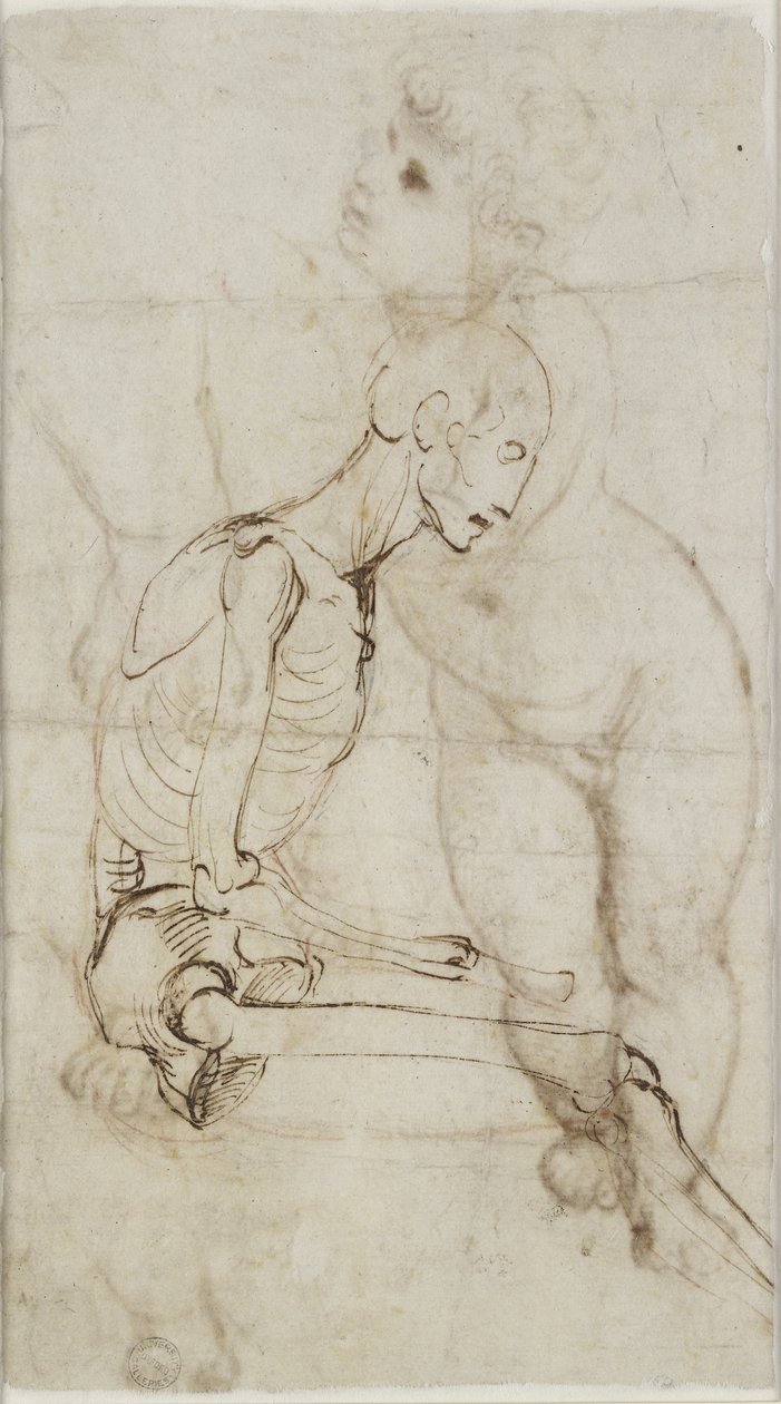 Verso: Skeleton tutkimus, WA1855.91 tekijältä Raffaello Sanzio Raphael