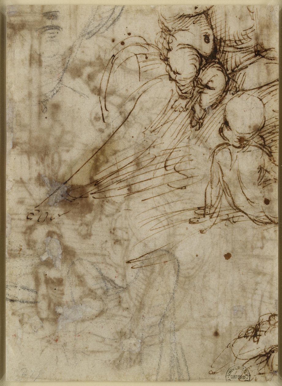 Verso: The Virgin, WA1846.162 tekijältä Raffaello Sanzio Raphael
