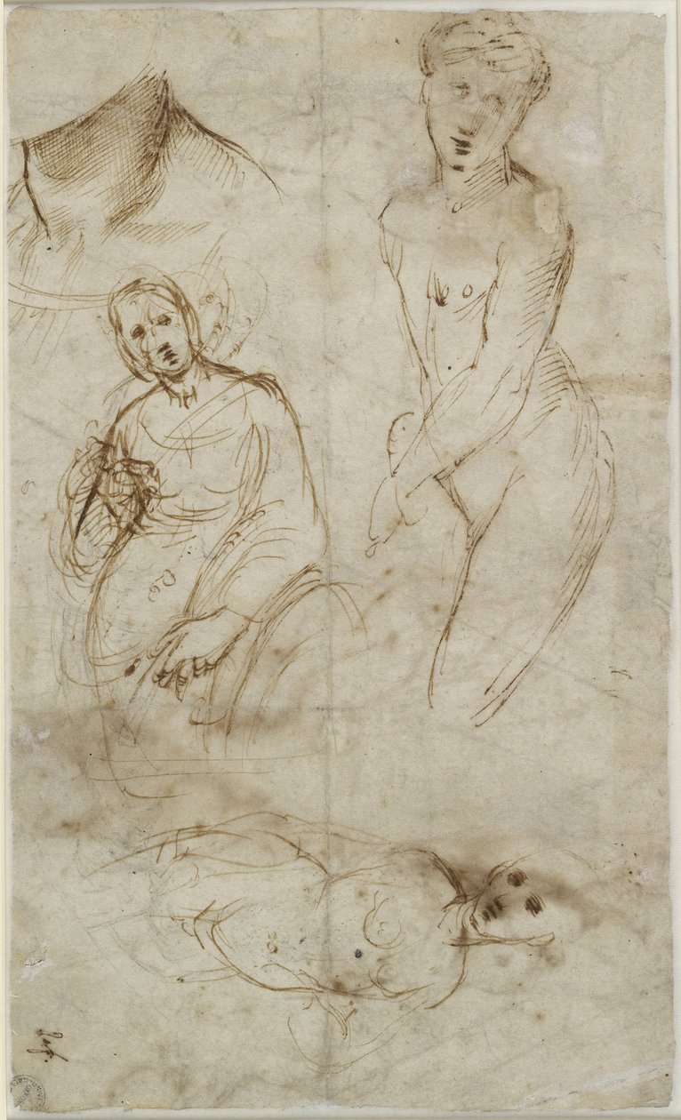 Verso: Various Studies, WA1846.177 tekijältä Raffaello Sanzio Raphael