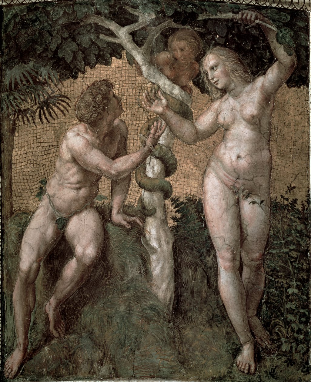 Adam ja Eeva, Stanza della Segnatura, n. 1508-11 tekijältä Raffaello Sanzio Raphael