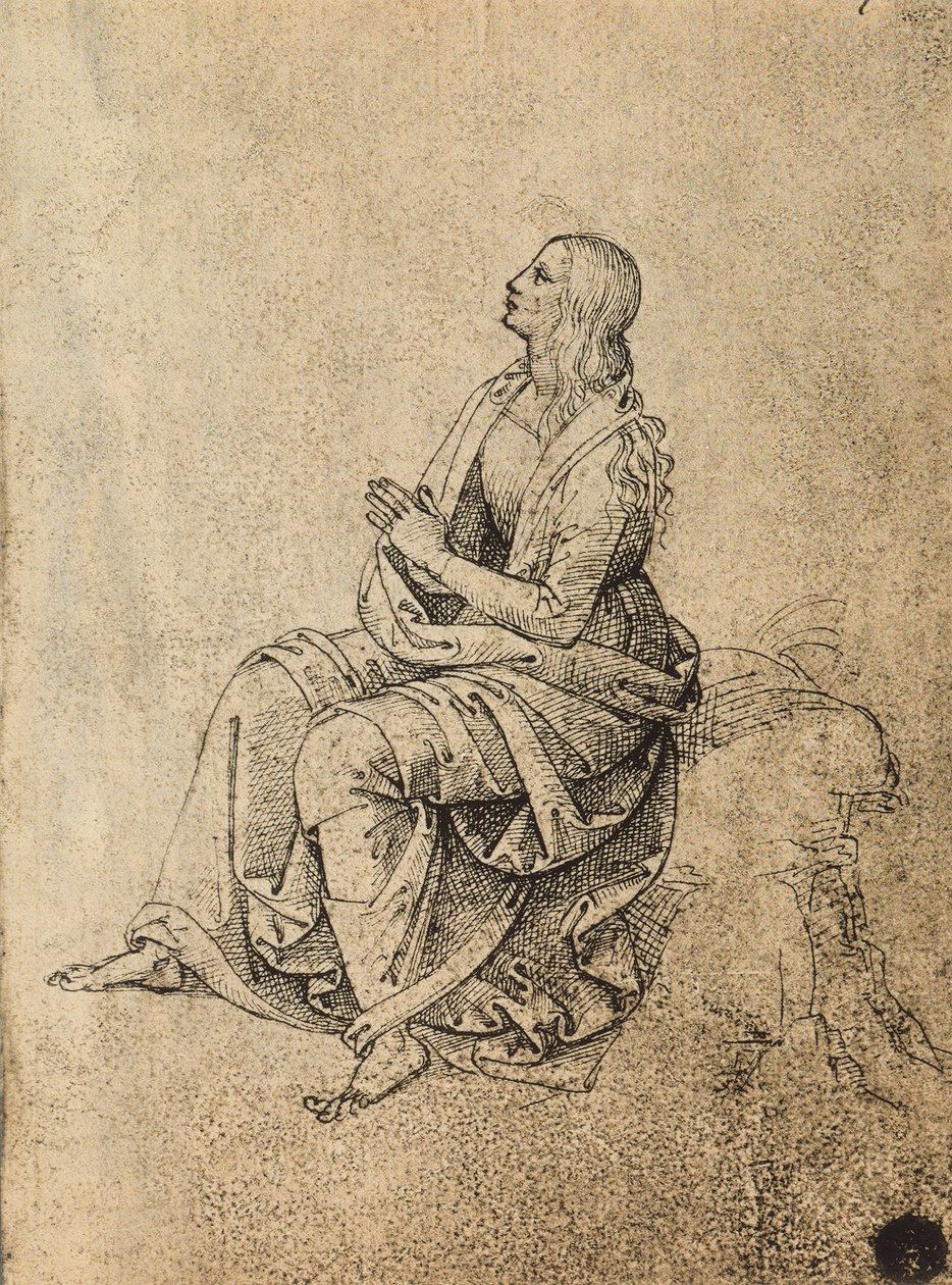 Naishahmo rukoilee; piirustus Raphael. Gallerie dellAccademia, Venetsia tekijältä Raffaello Sanzio Raphael