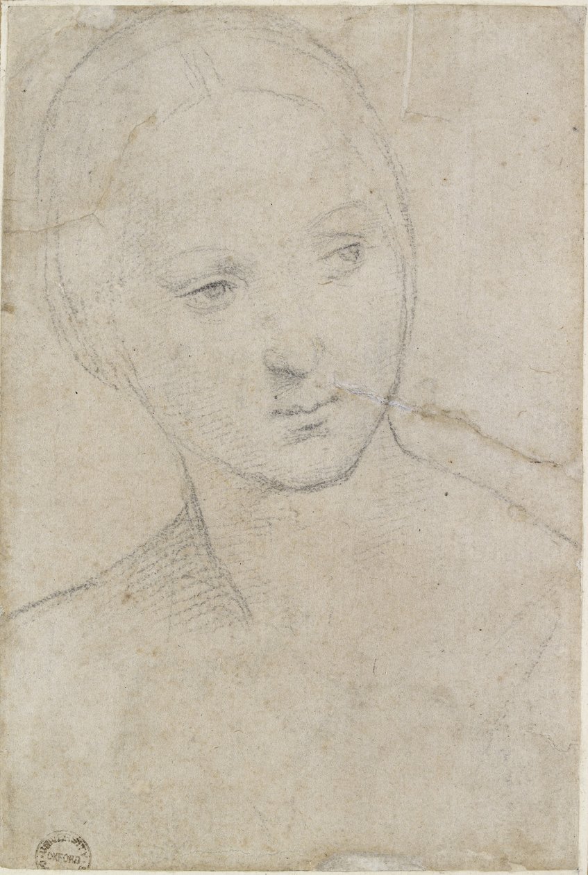 Recto: Tutkimus nuoren naisen päästä, WA1846.157 (musta liitu luonnonvalkoiselle paperille) tekijältä Raffaello Sanzio Raphael