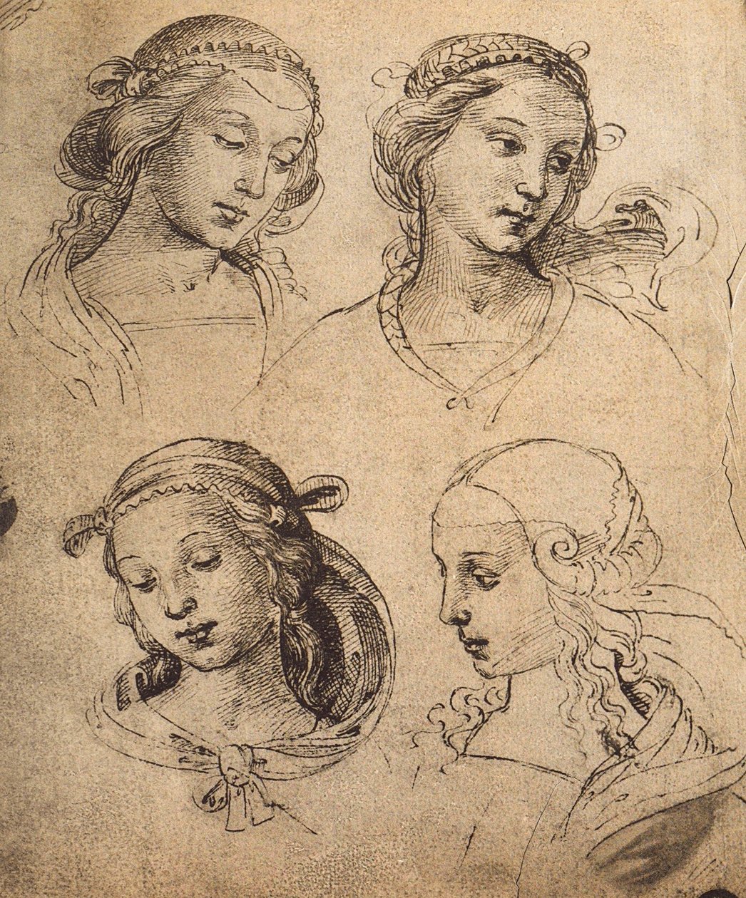 Neljän naisen kasvojen tutkimus; piirustus Raphael. Gallerie dellAccademia, Venetsia tekijältä Raffaello Sanzio Raphael