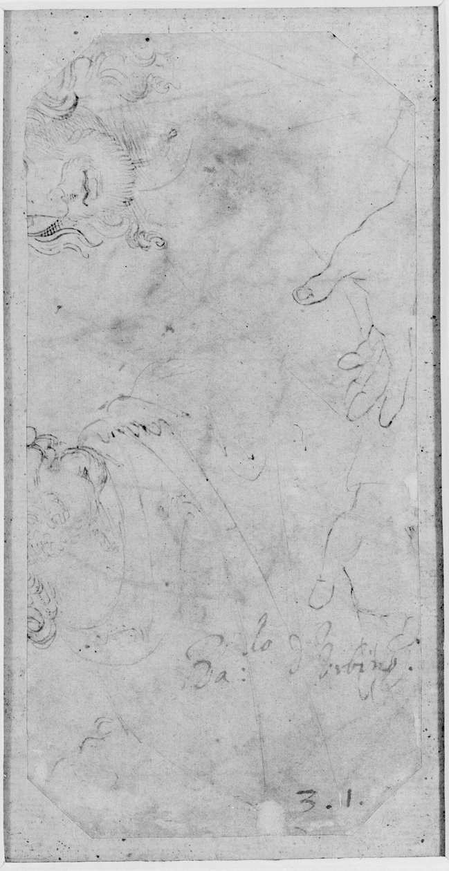 Verso: Luonnokset kahdesta urospäästä ja käsiparista, WA1846.167 (kynä ja ruskea muste valkoiselle paperille) tekijältä Raffaello Sanzio Raphael