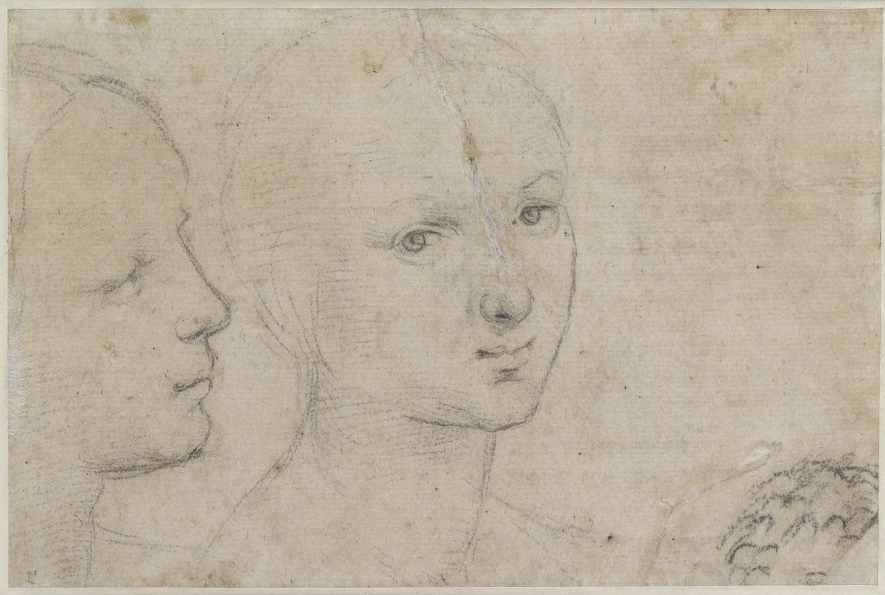 Verso: Kaksi tutkimusta nuoren naisen päästä, WA1846.157 (musta liitu luonnonvalkoiselle paperille) tekijältä Raffaello Sanzio Raphael