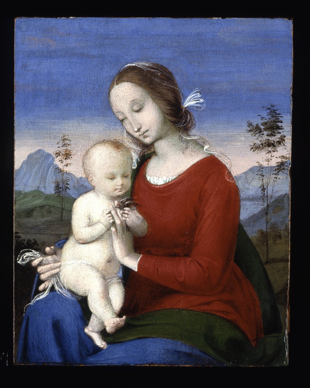 Madonna ja lapsi linnun kanssa (öljy puulle) tekijältä Raphael (1483 1520)