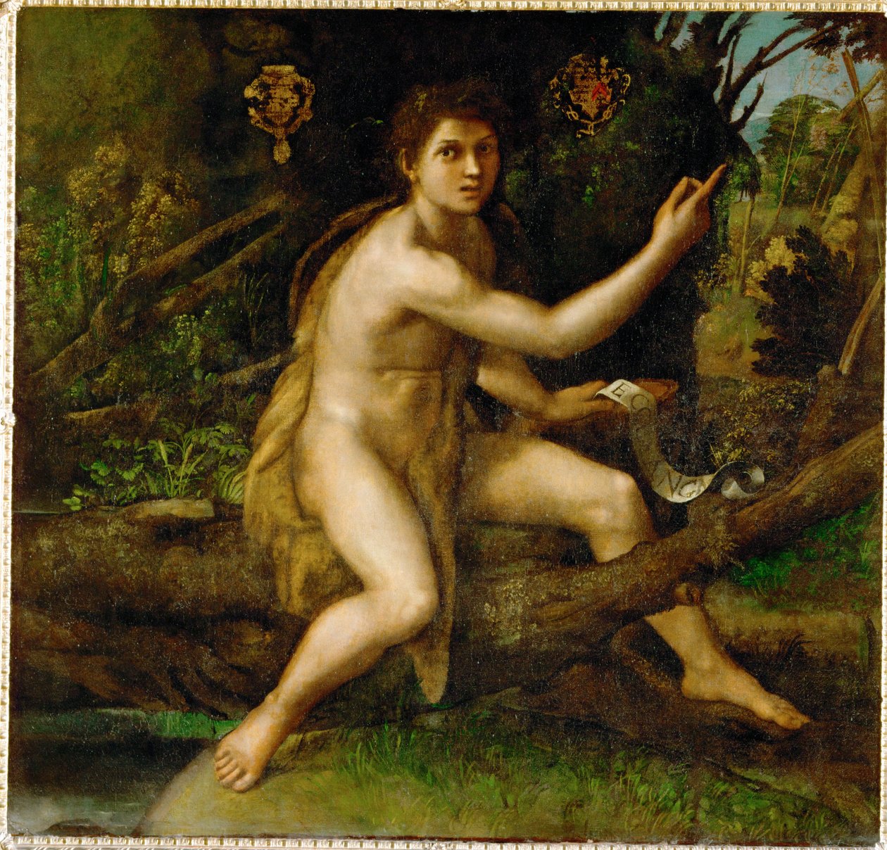 Johannes Kastaja autiomaassa, jossa näkyy puu, joka ... tekijältä Raphael (1483 1520)