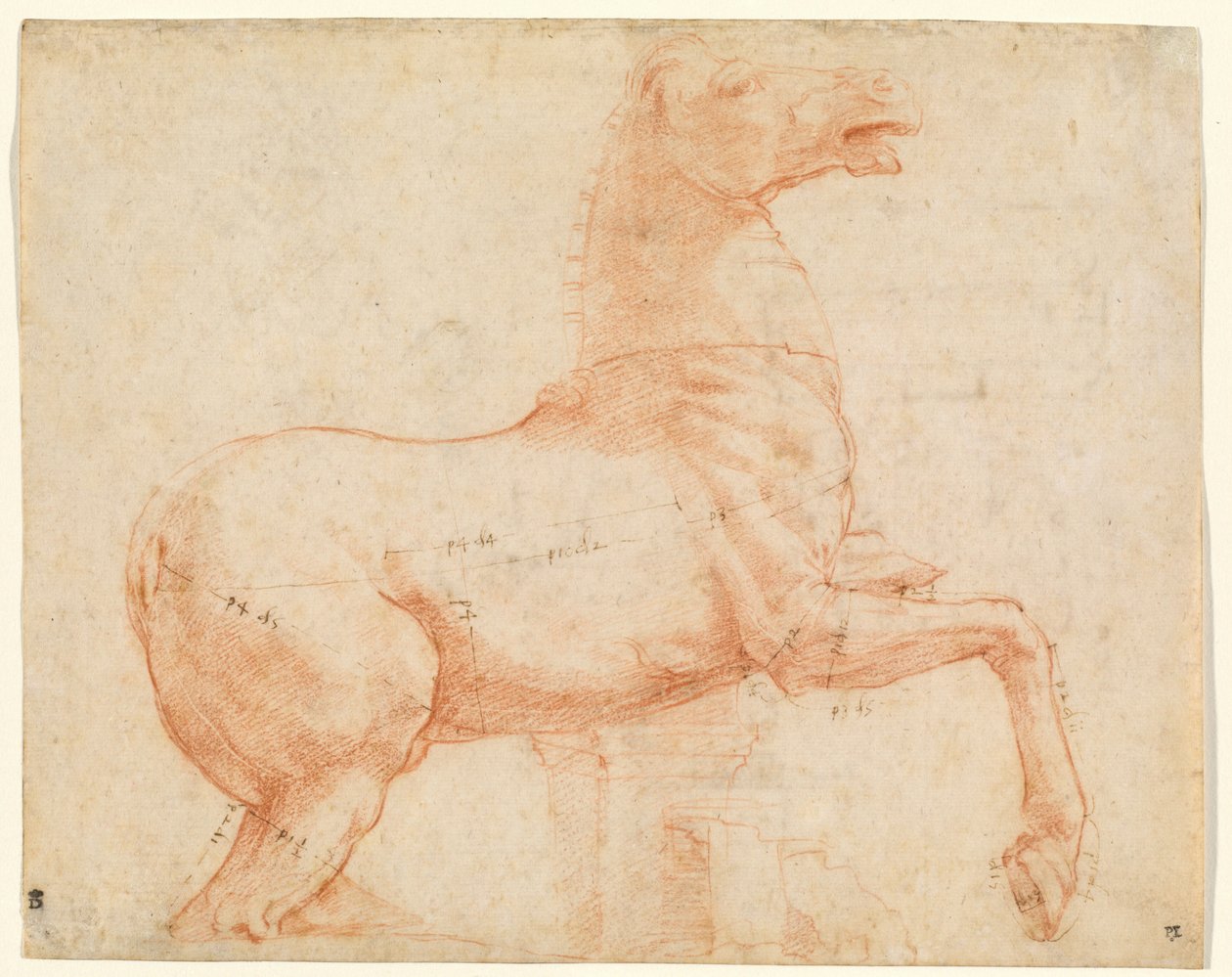Marmorihevonen Quirinal Hillillä (recto), n. 1513 (punainen liitu, kynä, ruskea muste, lyijykärki ja kynä) tekijältä Raphael (1483 1520)