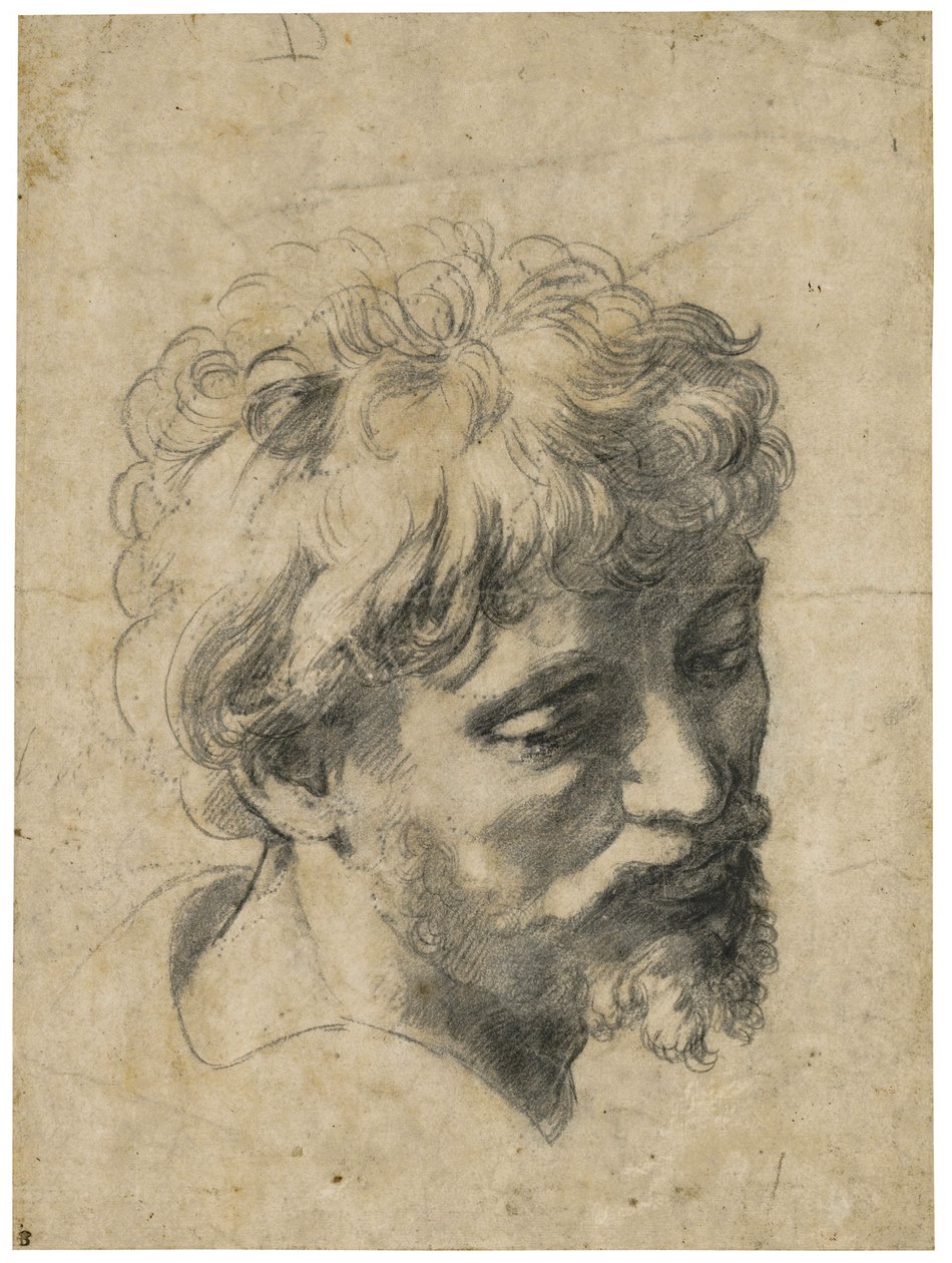 ""Nuoren apostolin muotokuva"" (nuoren apostolin pää) hiili paperille kirjoittanut Raphael (Raffaello Sanzio) (1483-1520) Yksityinen kokoelma tekijältä Raphael