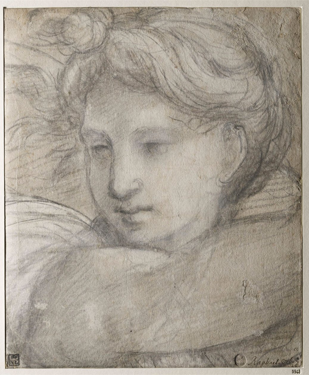 Raffaello Sanzio - Enkelin päällikkö par Raphael (1483-1520), n. 1520 - Mustavalkoinen liitu paperille, 30,8x25,4 - Szepmuveszeti Muzeum, Budapest tekijältä Raphael