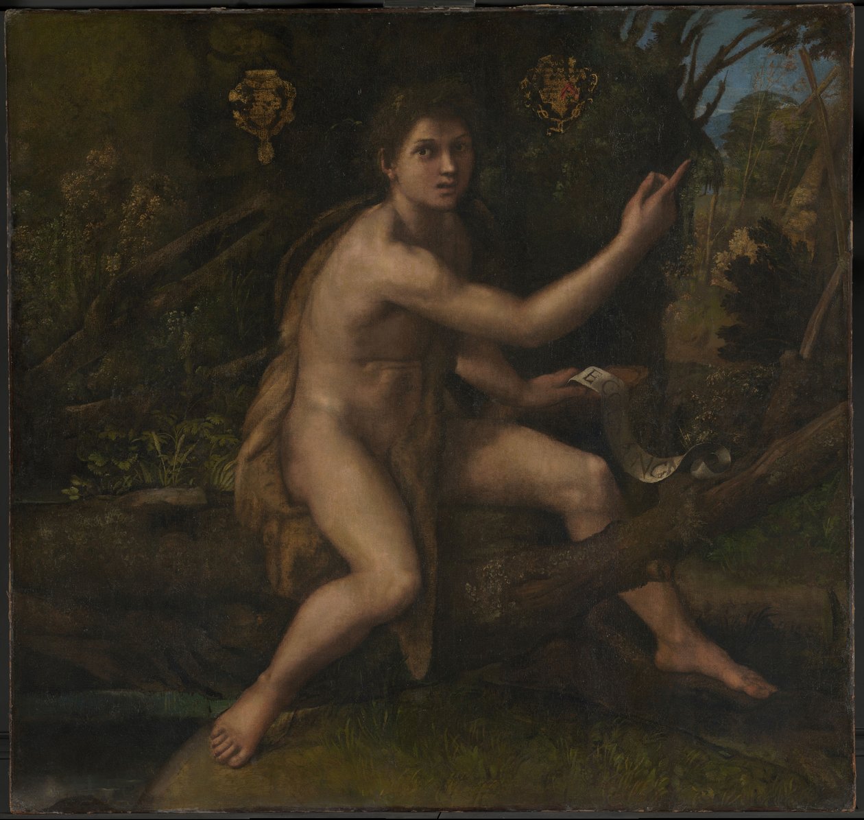 Pyhä Johannes Kastaja tekijältä Raphael (1483 1520)